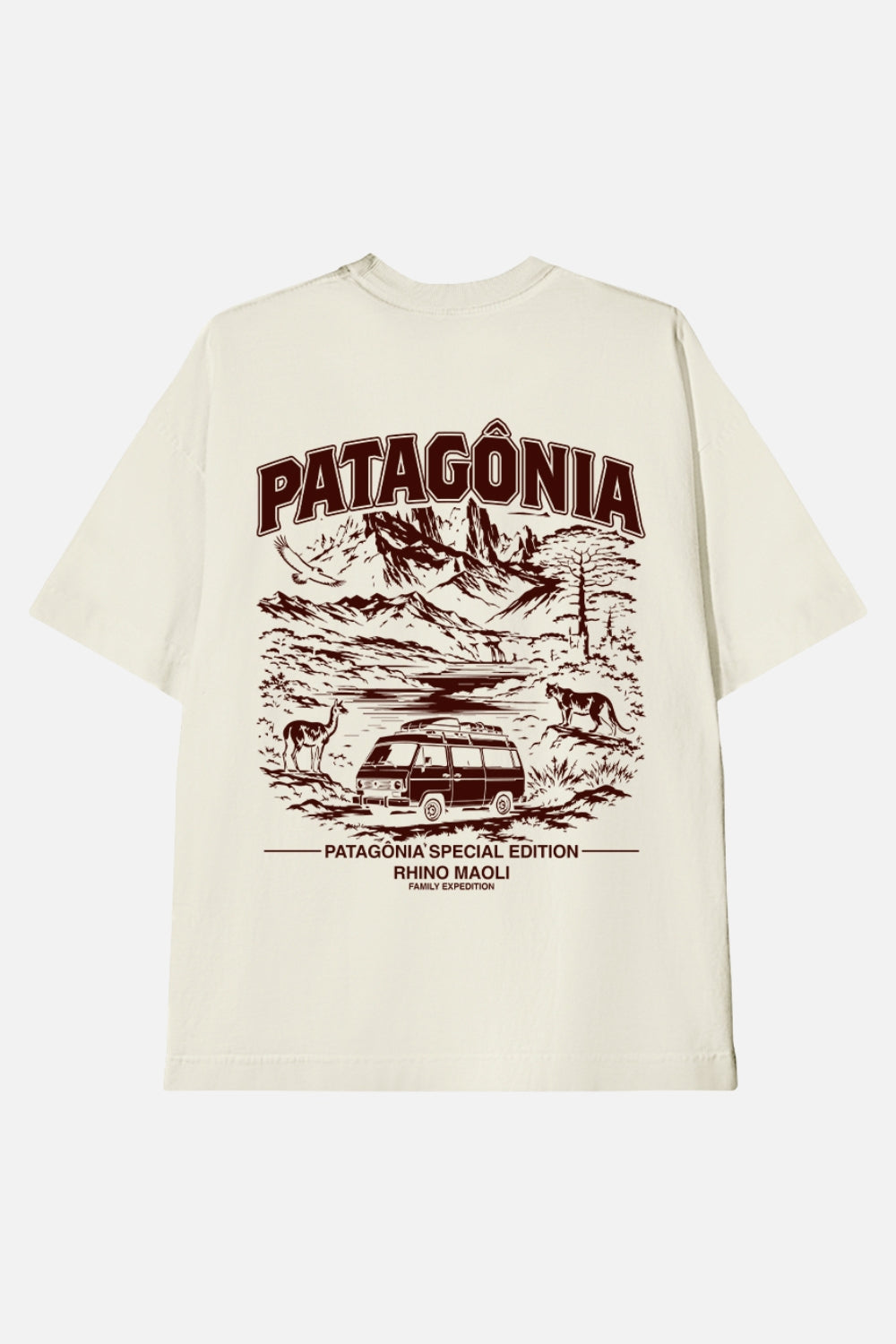 Camiseta Oversized- Patagônia