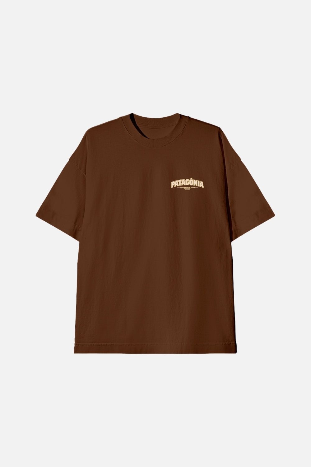Camiseta Oversized- Patagônia