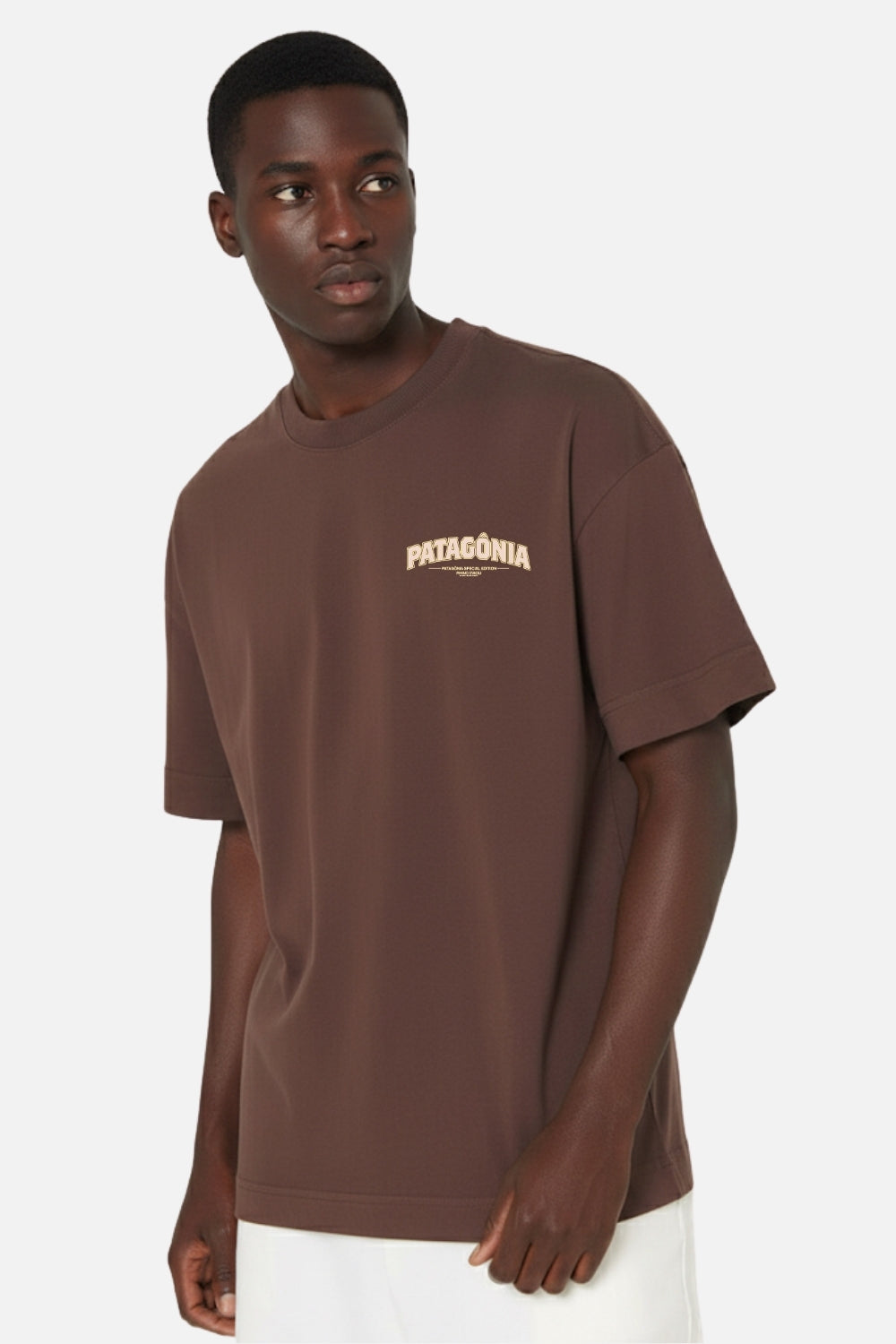 Camiseta Oversized- Patagônia