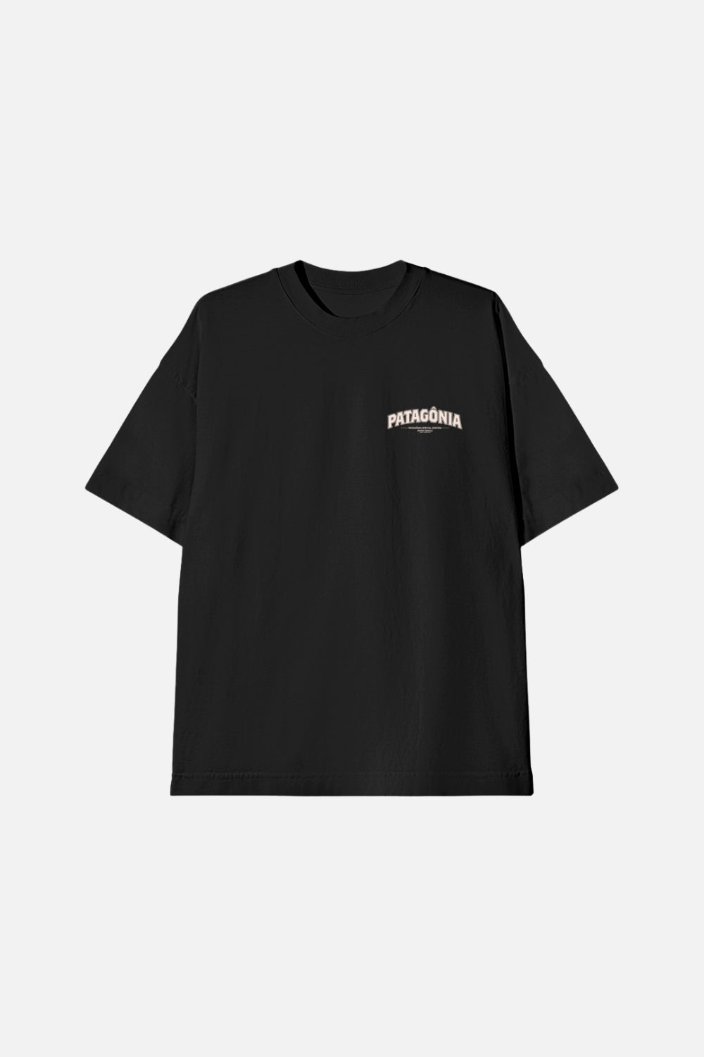Camiseta Oversized- Patagônia
