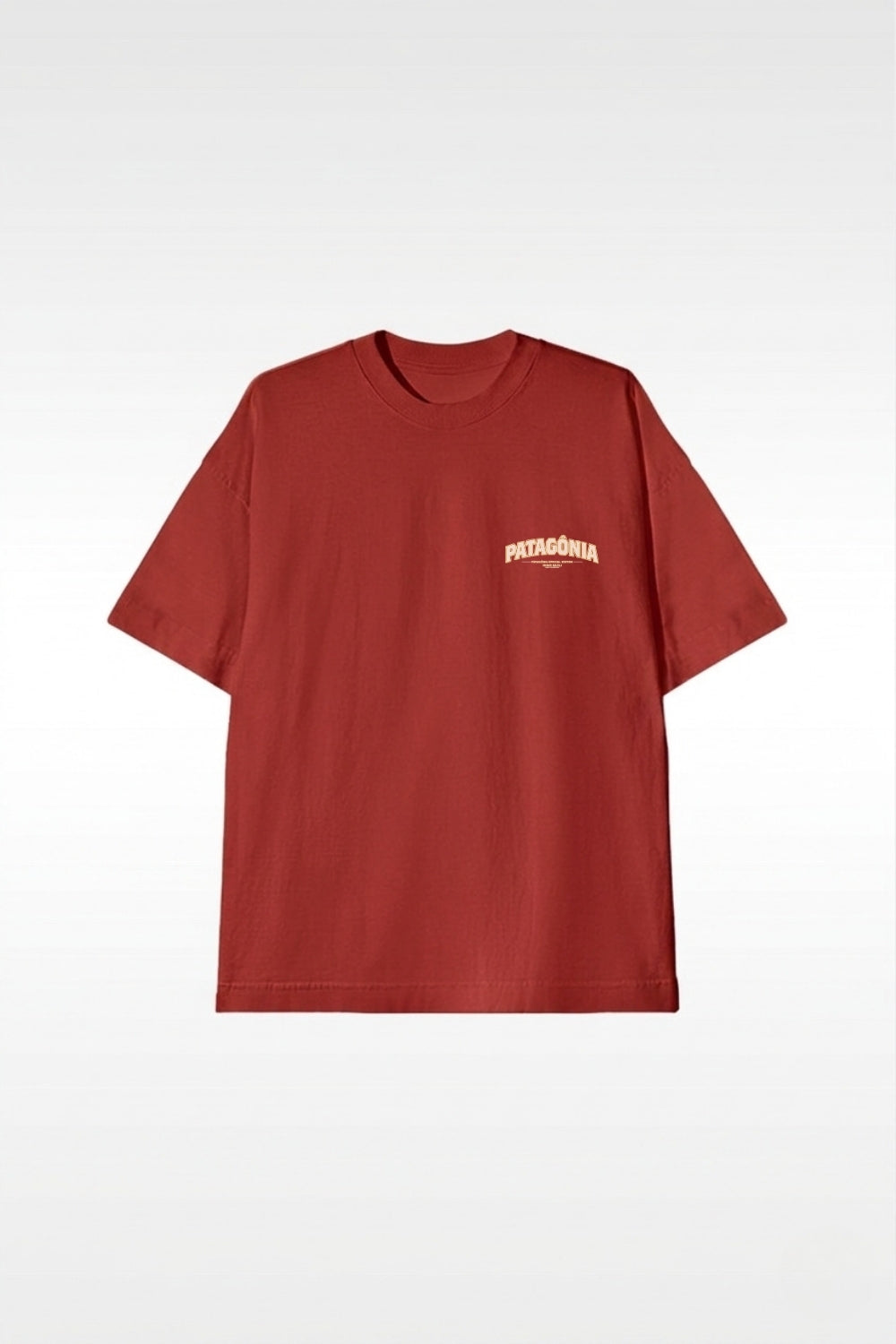 Camiseta Oversized- Patagônia