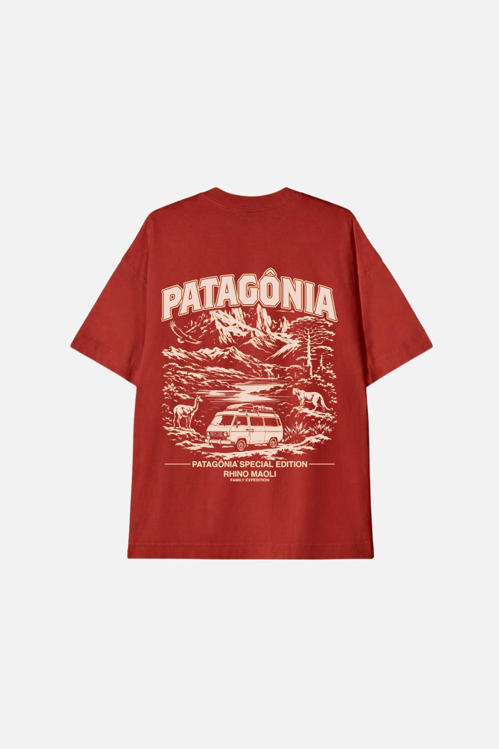 Camiseta Oversized- Patagônia
