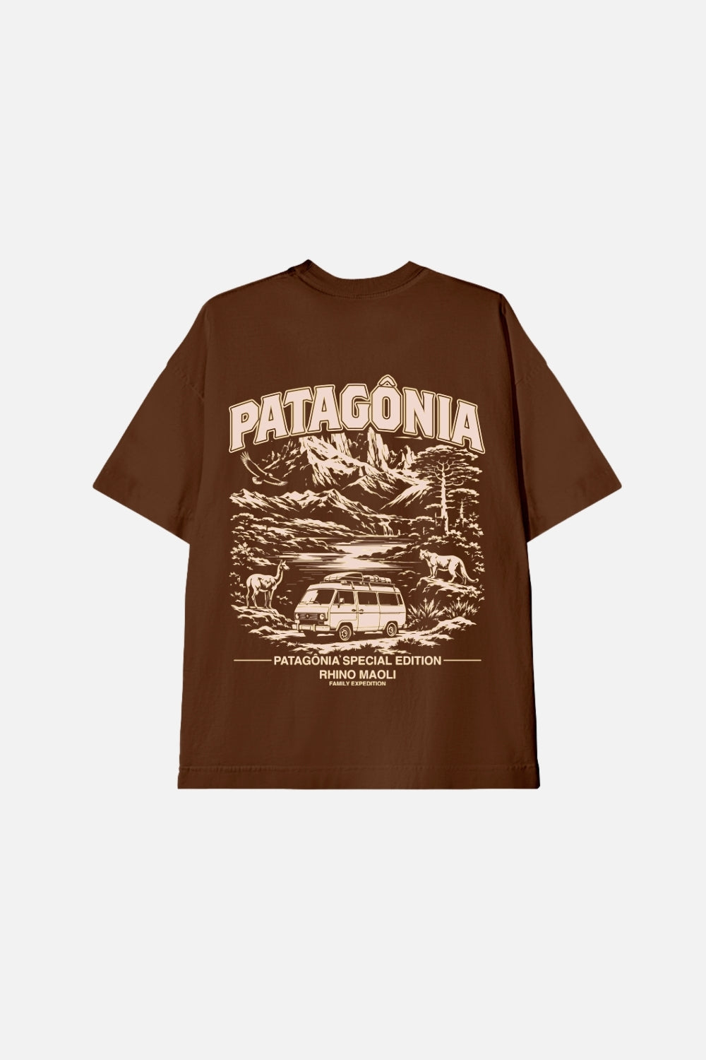Camiseta Oversized- Patagônia